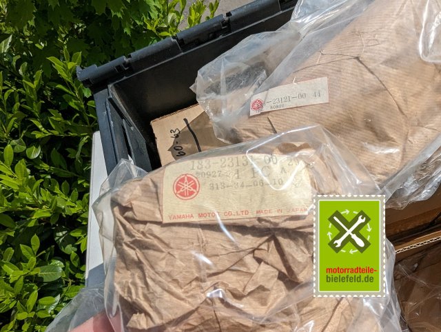 PXL_20240508_125328569